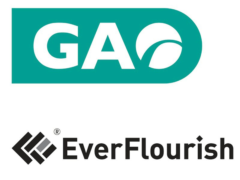 GAO