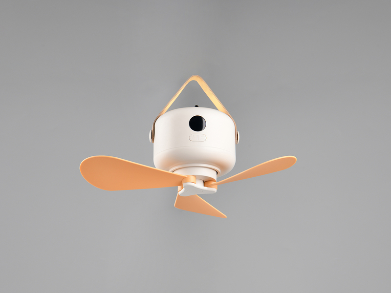 Kleiner Akku Deckenventilator RENA mit Licht und Fernbedienung Ø 27cm