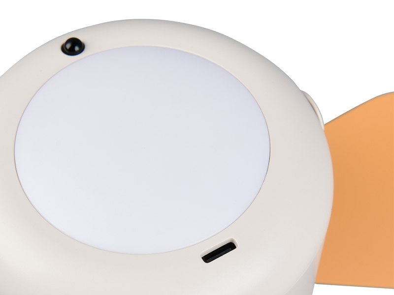 Kleiner Akku Deckenventilator mit Licht und Fernbedienung, USB aufladbar Ø 27cm