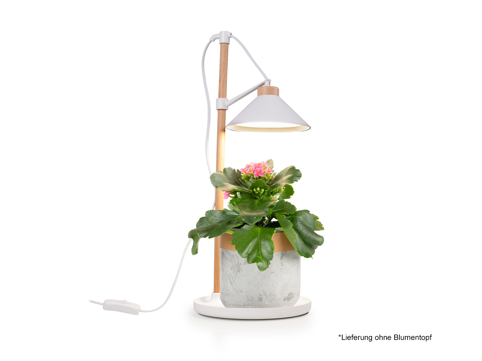 Mini Mikroskop 60x Taschenmikroskop LED UV Lampe Juwelierlupe Taschenlupe